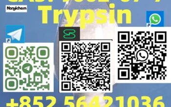 CAS: 9002-07-7 Name: Trypsin