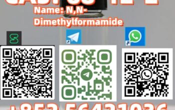 CAS : 28578-16-7 PMK ethyl glycidate