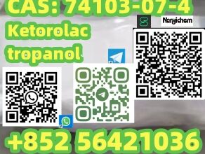 CAS: 74103-07-4 Ketorolac tropanol