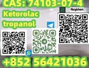 CAS: 74103-07-4 Ketorolac tropanol