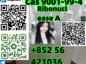 Cas 9001-99-4 Ribonuclease A