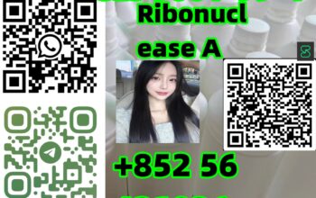 Cas 9001-99-4 Ribonuclease A