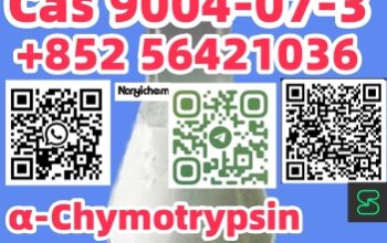 Cas 9004-07-3 α-Chymotrypsin