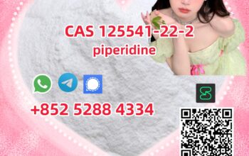piperidine white crystalline powder CAS125541-22-2