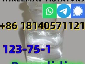 good quality Pyrrolidine CAS 123-75-1 factory supp