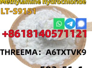 CAS 593-51-1 Methylamine hydrochloride LT-S9151 go