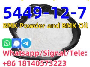 Cas 5449-12-7 New BMK Glycidic Acid for sale