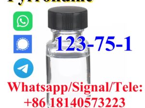 Pyrrolidine CAS 123-75-1