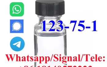 Pyrrolidine CAS 123-75-1