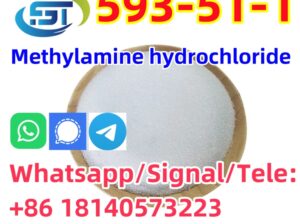 CAS 593-51-1 Methylamine hydrochloride