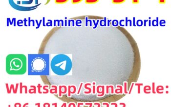 CAS 593-51-1 Methylamine hydrochloride