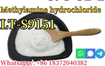 CAS 593-51-1 Methylamine hydrochloride