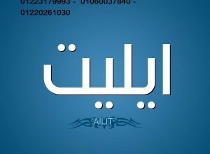صيانة غسالات اطباق ايديال ايليت الرماية 0235700997