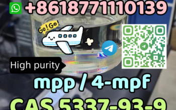 CAS 5337-93-9 mpp 4-mpf factory supply with best p