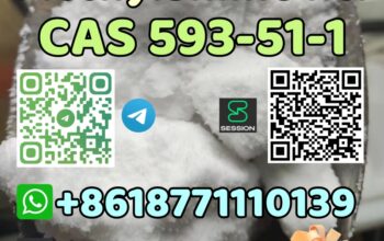 CAS 593-51-1 Methylamine hcl high quality best sel