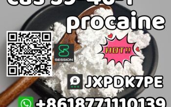 CAS 59-46-1 Procaine best quality factory supply w