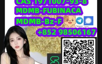 CAS 1971007-93-8 MDMB-FUBINACA,MDMB-Bz-F