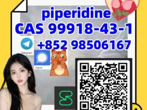 Good Price CAS 99918-43-1 (piperidine)