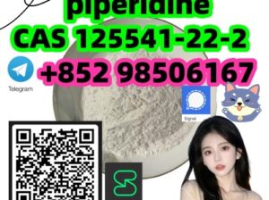 High quality CAS 125541-22-2 (piperidine)