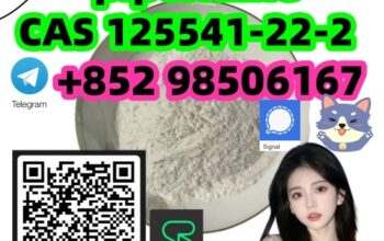 High quality CAS 125541-22-2 (piperidine)