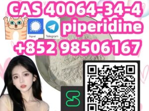 Sell high quality CAS 40064-34-4 (piperidine)