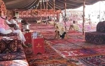 تأجير كراسي بار في الرياض ، طاولات بوفيه,مظلات