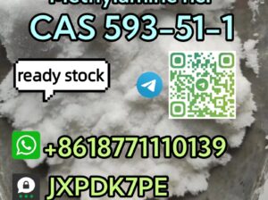 CAS 593-51-1 Methylamine hcl safe delivery telegra