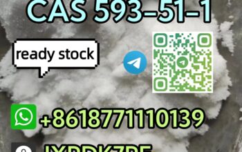 CAS 593-51-1 Methylamine hcl safe delivery telegra