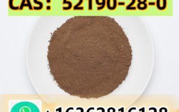 CAS:52190-28-0