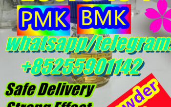 Competitive Price PMK oil 28578-16-7
