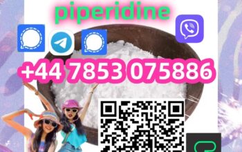 Factory supply piperidine CAS:40064-34-4