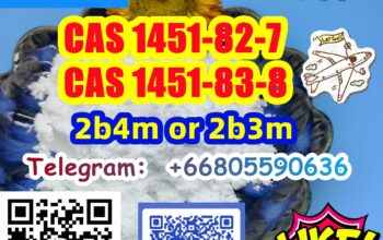 Hait Pharm Can Supply 2b3m CAS 1451-83-8