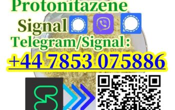 Free sample CAS:119276-01-6 Super powerful high qu