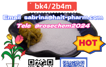 Hait Pharm Can Supply BK4 Powder CAS 5449-12-7