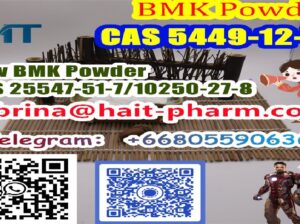 New BMK Powder CAS 25547-51-7/10250-27-8