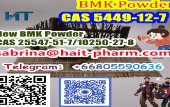 New BMK Powder CAS 25547-51-7/10250-27-8