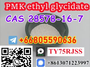 Haite Pharm Can Supply PMK Powder CAS 28578-16-7