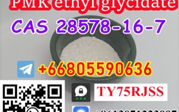 Haite Pharm Can Supply PMK Powder CAS 28578-16-7