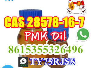 Haite Pharm Can Supply PMK Oil CAS 28578-16-7