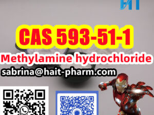 Haite Pharm Can Supply MethylamineHCL CAS 593-51-1