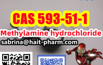 Haite Pharm Can Supply MethylamineHCL CAS 593-51-1