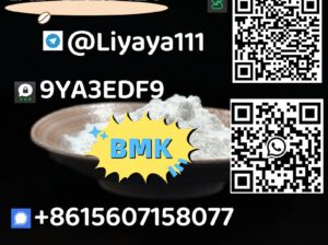 Best selling BMK Glycidic Acid CAS 5449-12-7