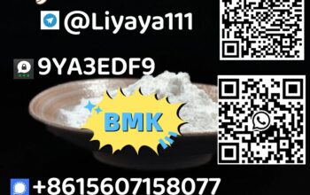 Best selling BMK Glycidic Acid CAS 5449-12-7