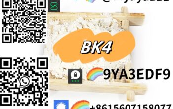 Top selling China suppliers BK4 CAS 1451-82-7