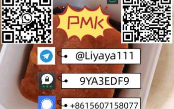 Well-sold PMK ethyl glycidate CAS 28578-16-7