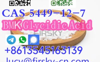 New BMK Glycidic Acid (sodium salt) Cas 5449-12-7