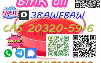 BMK Powder CAS 20320-59-6 with Safe and Fast