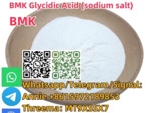 Buy Cas 5449-12-7 BMK Glycidic Acid (sodium salt)