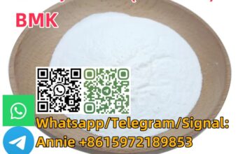 Buy Cas 5449-12-7 BMK Glycidic Acid (sodium salt)