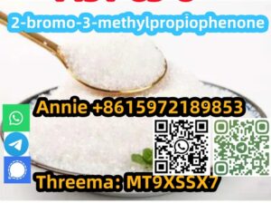 Buy High quality materials CAS 1451-83-8 2-bromo-3